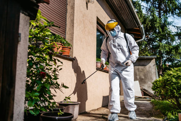 Professional Pest Control in Advance, MO