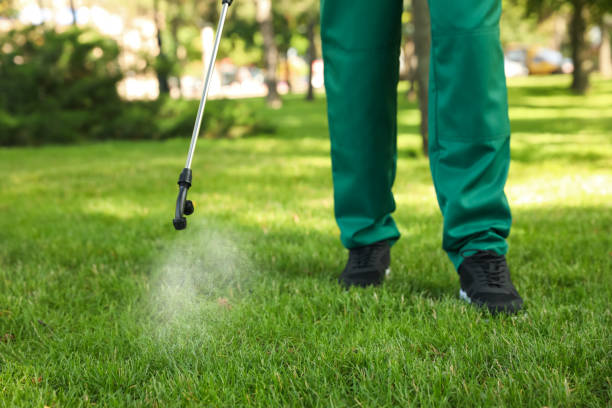 Best Mosquito Control Services  in Advance, MO
