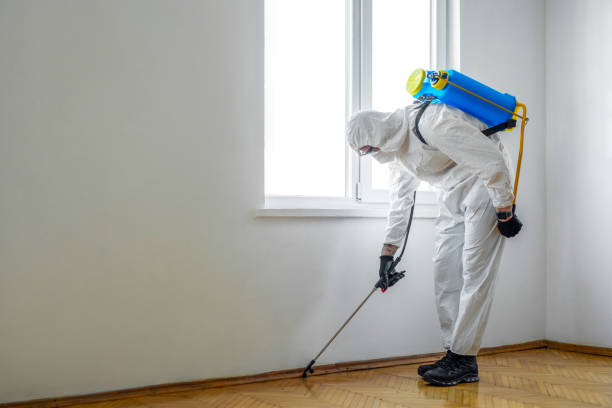 Best Pest Control Treatment  in Advance, MO