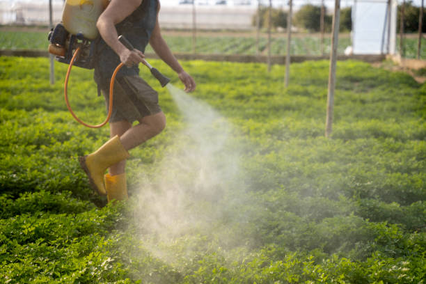 Best Exterminator Services  in Advance, MO