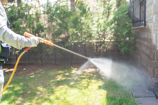 Best Insect Control  in Advance, MO