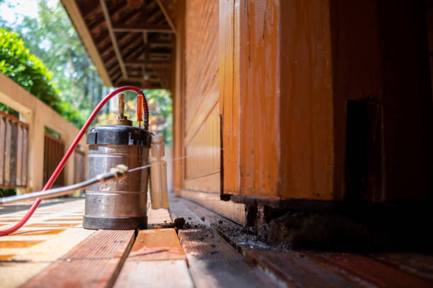 Best Best Pest Control Companies  in Advance, MO
