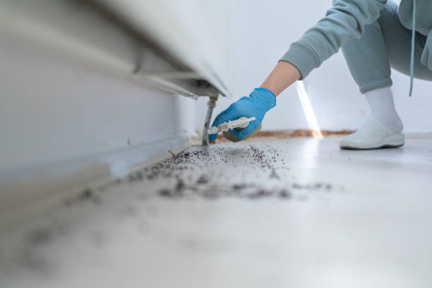 Best Pest Inspection Near Me  in Advance, MO